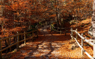 Montagnes de Soria