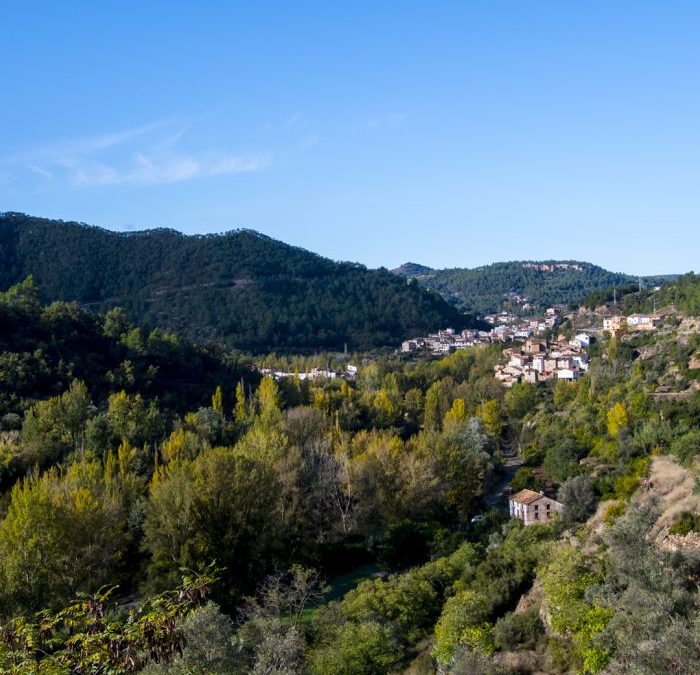 Parque Experiencial de la Trufa de Teruel