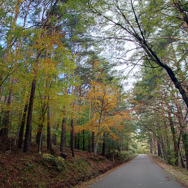 Parque_Moncayo_1