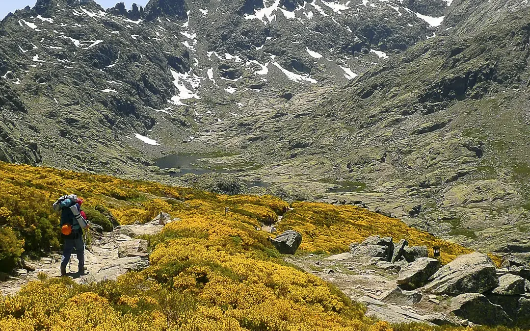 Bosque Micológico de Ávila
