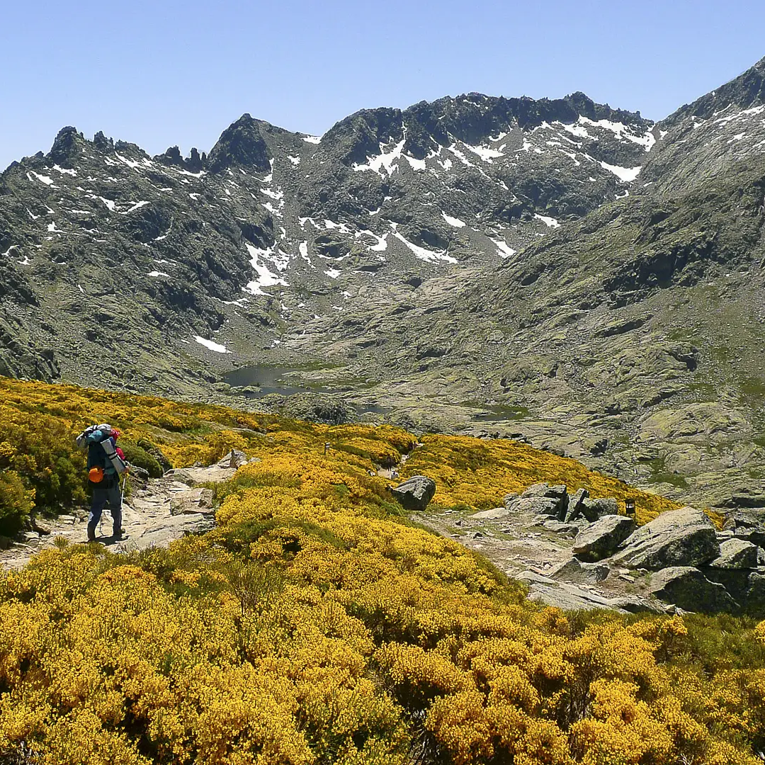 Bosque_micologico_Avila_001_destacada