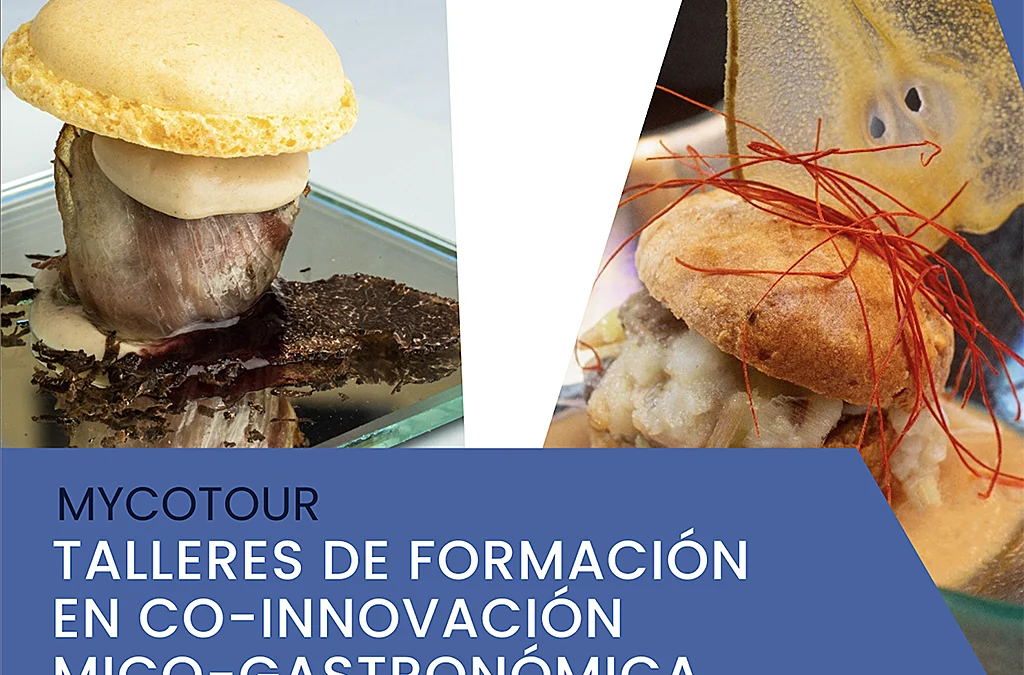 Talleres de formación en co-innovación mico-gastronómica